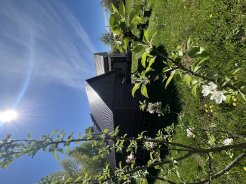 Коттедж № 86