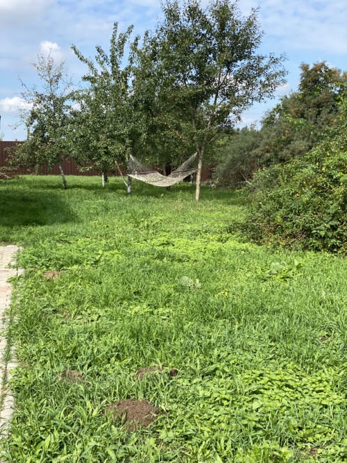 Коттедж № 318