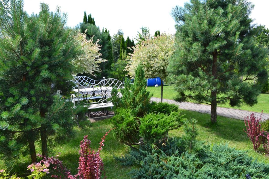 Коттедж № 125