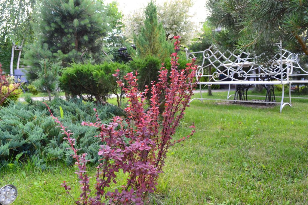 Коттедж № 125