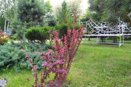 Коттедж № 125