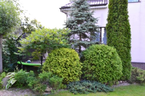 Коттедж № 125