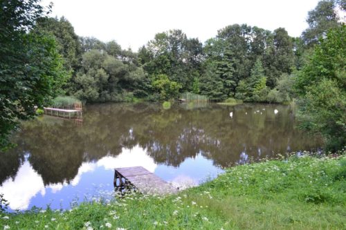 Коттедж № 125