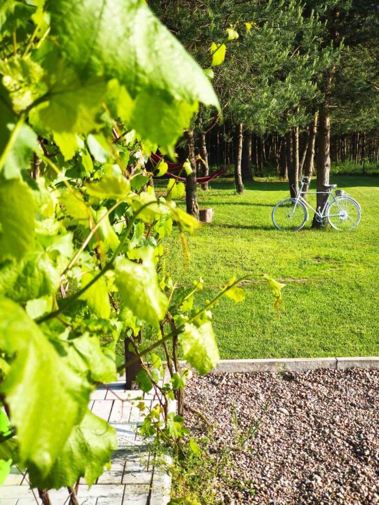 Коттедж № 330