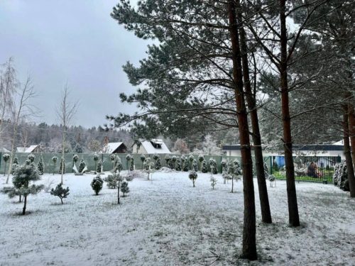 Коттедж № 6