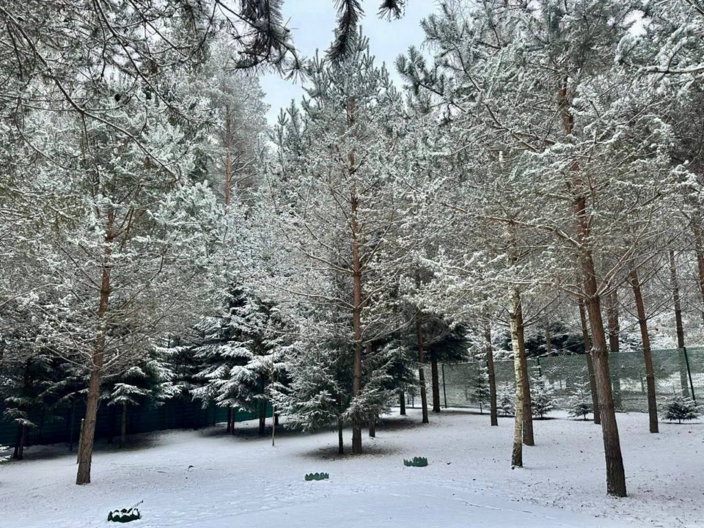 Коттедж № 6