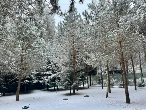 Коттедж № 6