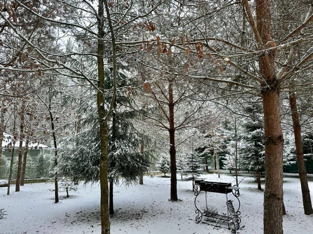 Коттедж № 6