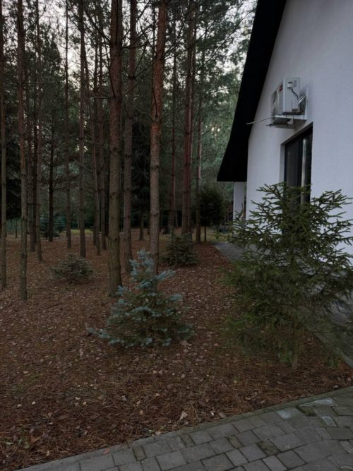 Коттедж № 6