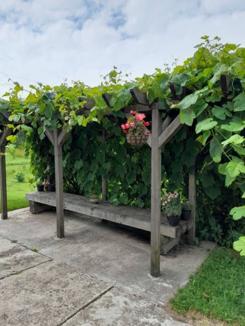 Коттедж № 56