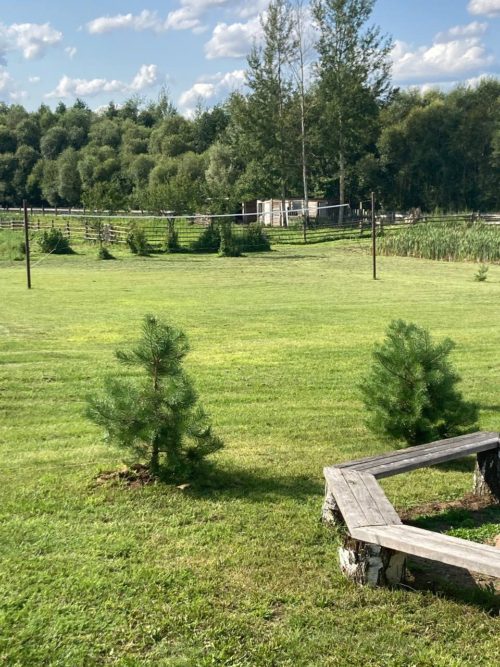 Коттедж № 56